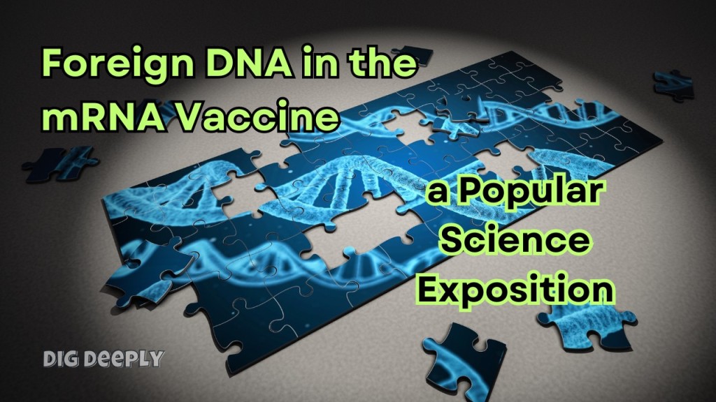 Foreign DNA in the mRNA Vaccine