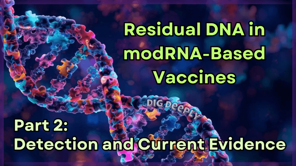 Residual DNA in modRNA-Based Vaccines – Part 2